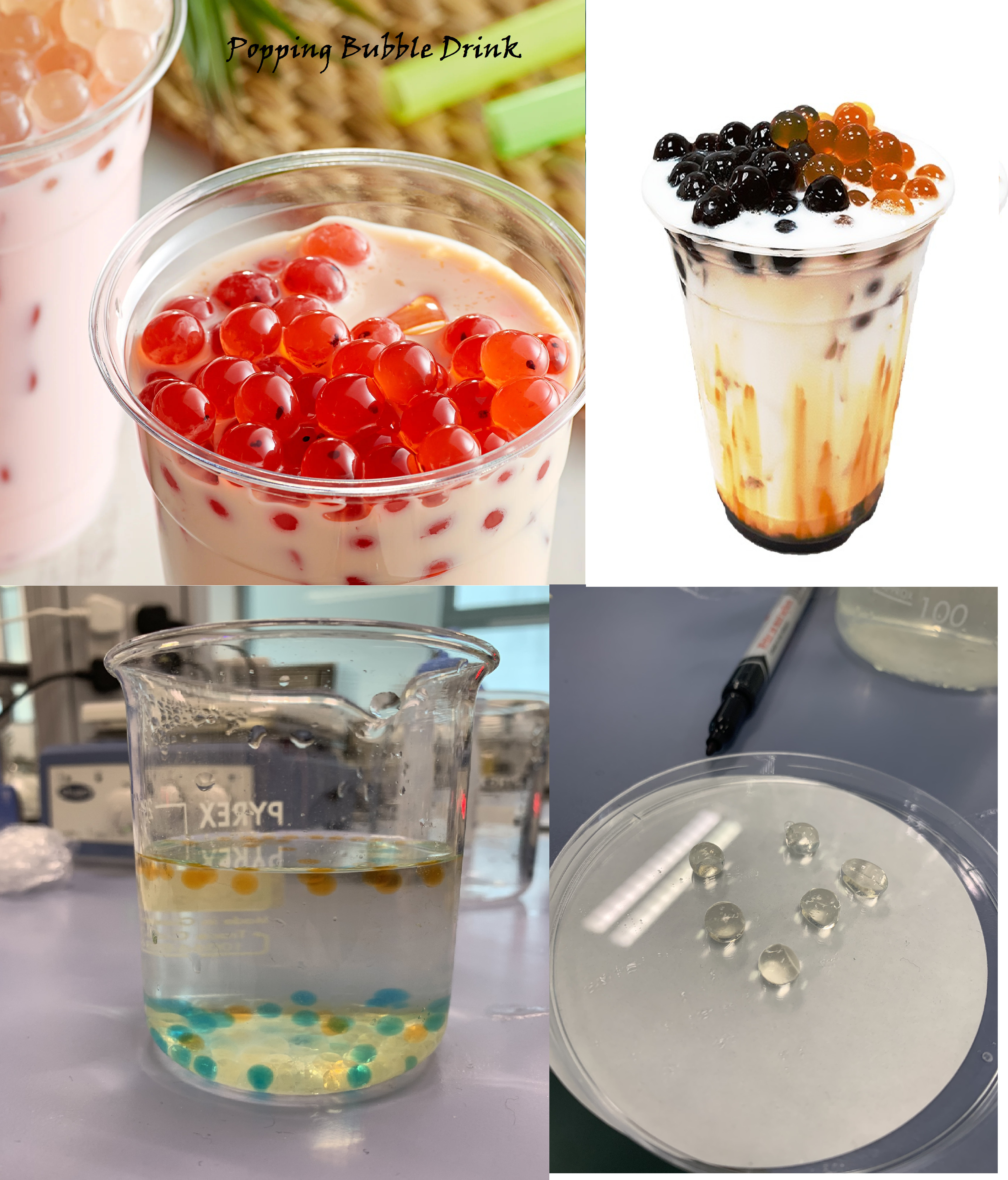 食品科技