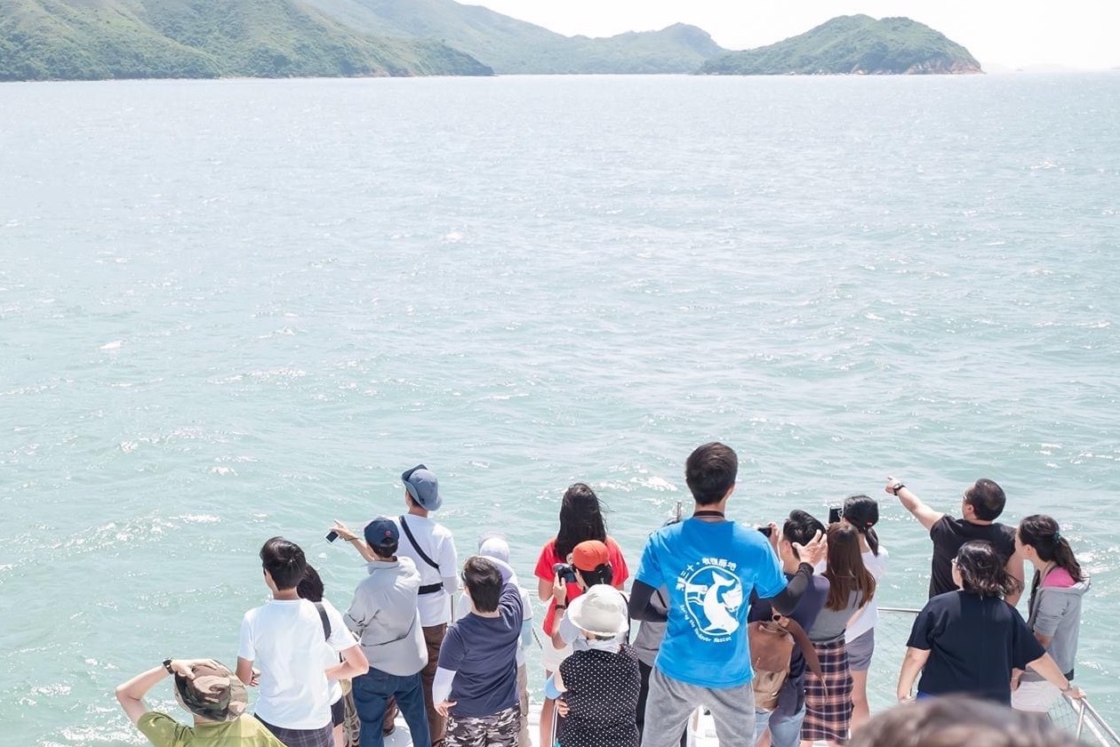 大屿海豚导赏团