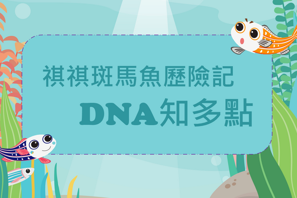祺祺斑马鱼歷险记之DNA知多点