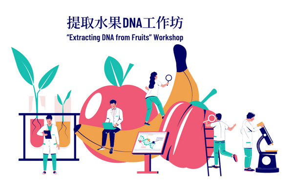 「提取水果DNA」工作坊