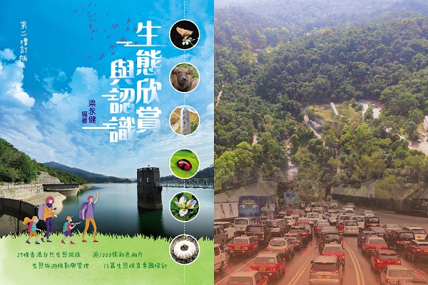  科普阅读工作坊 — 都市微气候